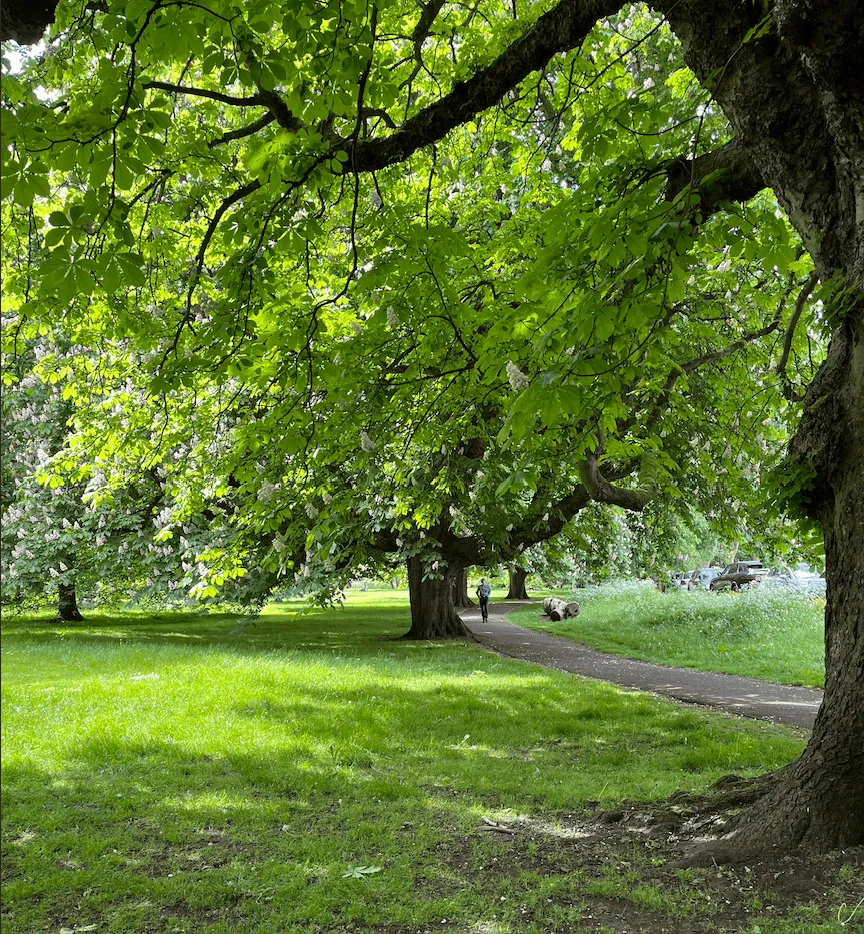 Cómo Fortalecer la Resiliencia de las empresas en tiempos de Cambio